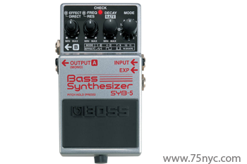 Enlarged view of image